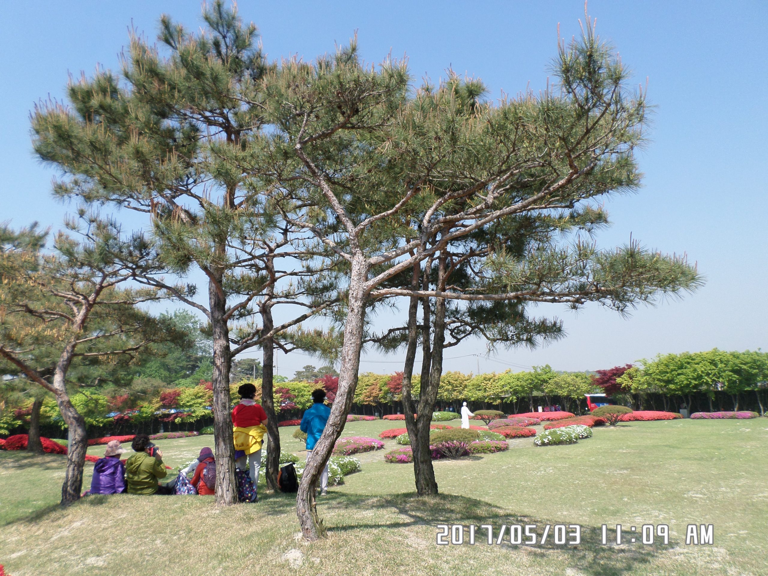 5월 3일 순례자들