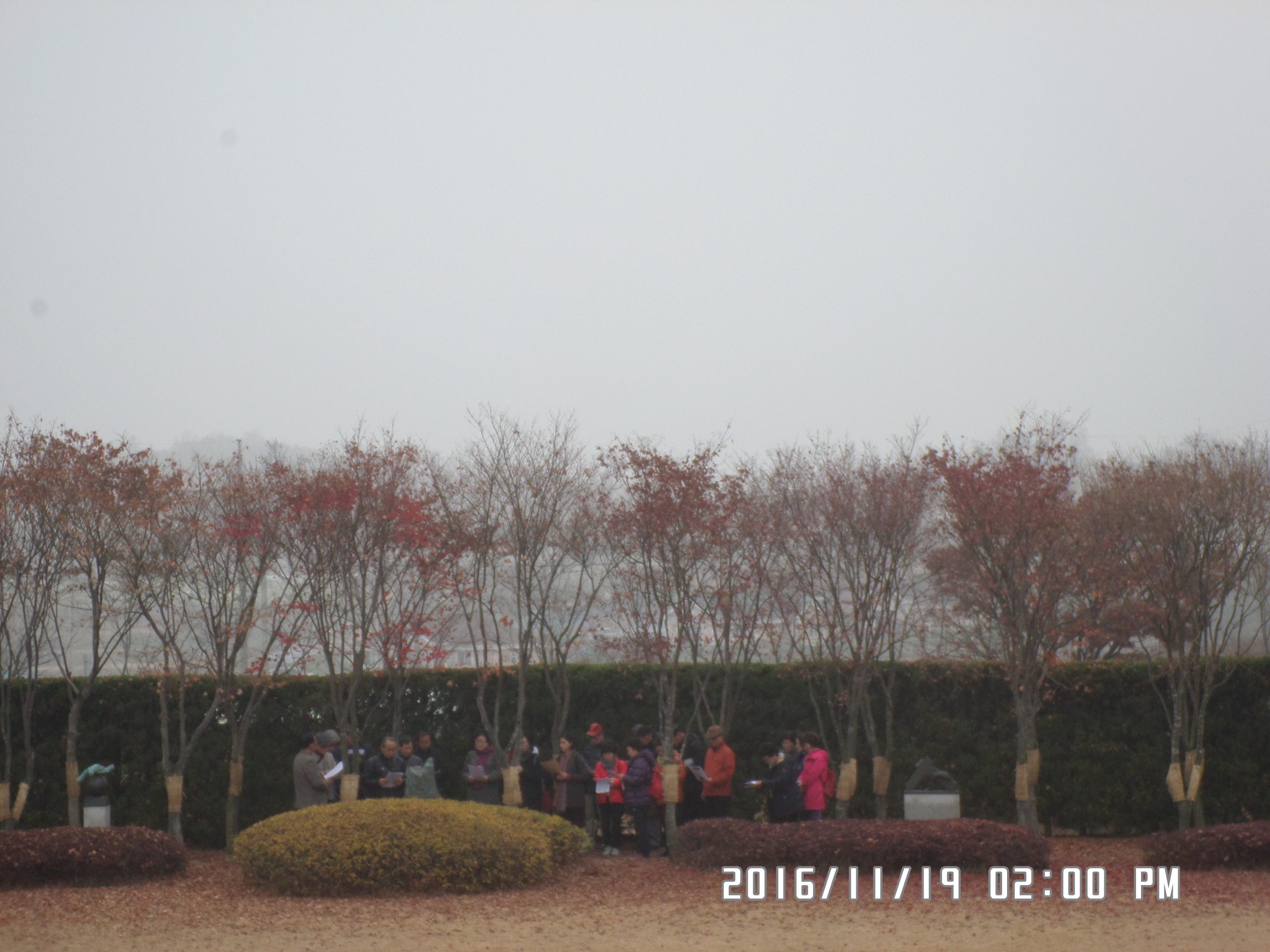 11월 19일 순례자들