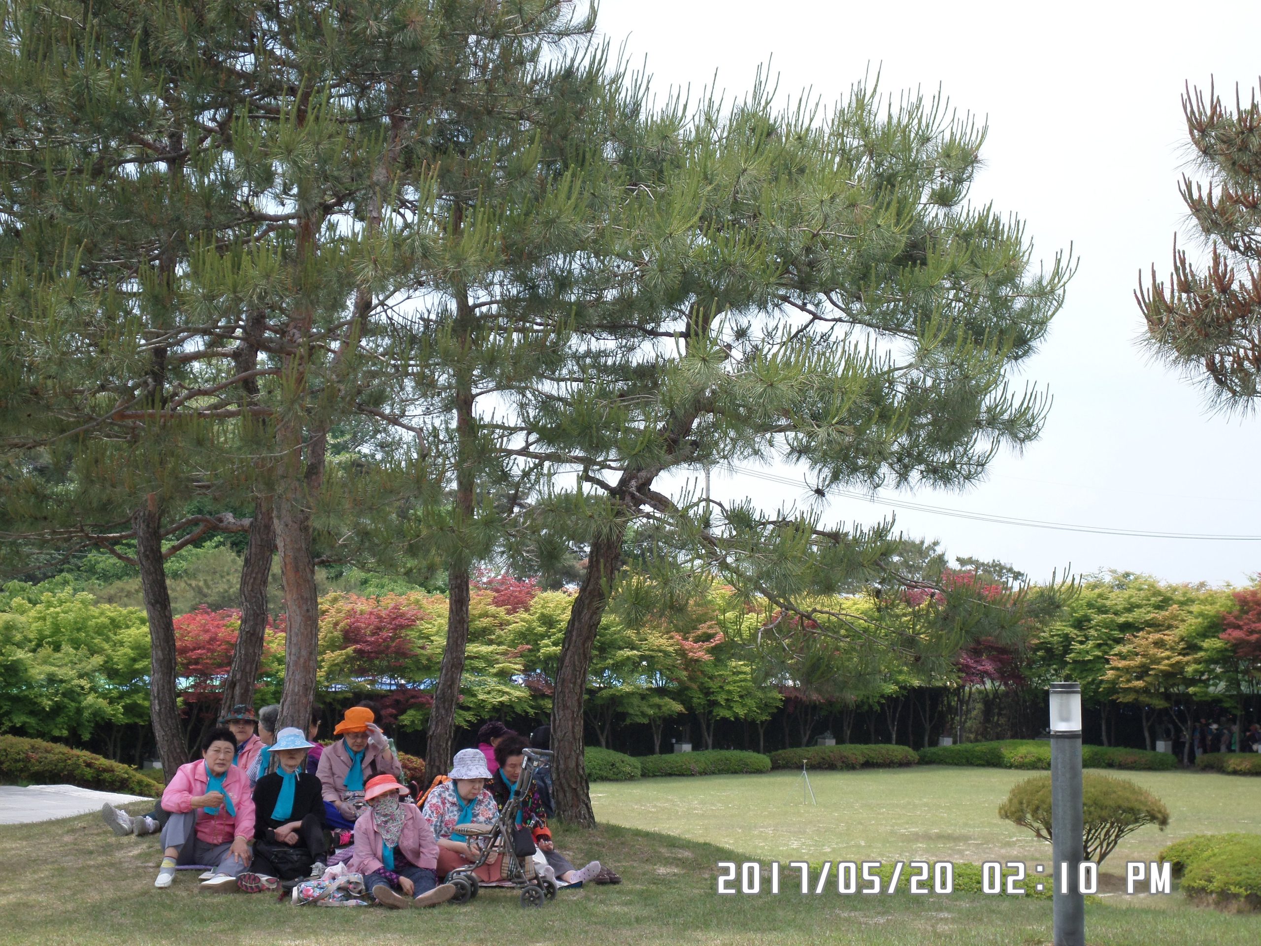 5월 20일 순례자들