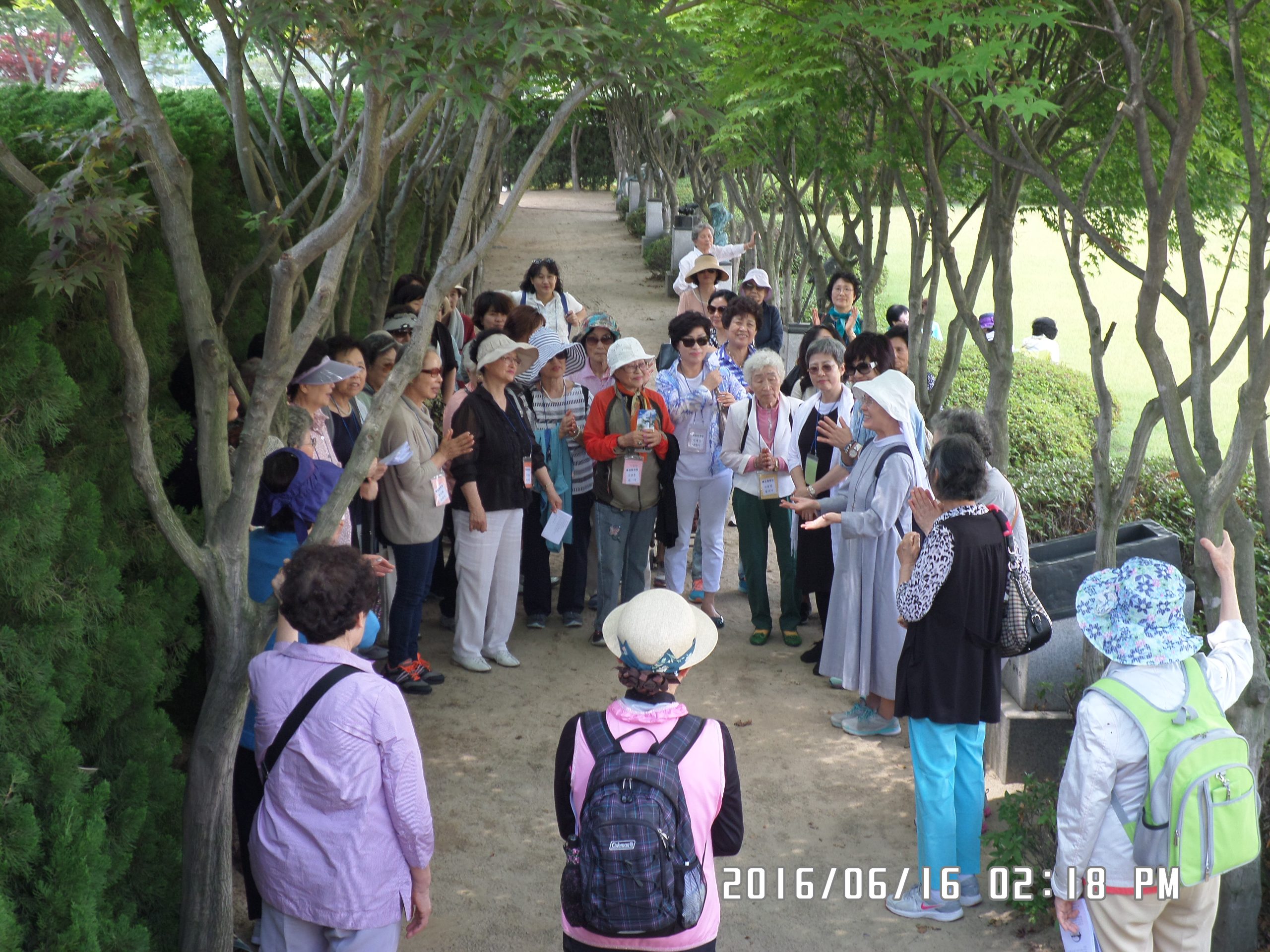 6월 16일 순례자들