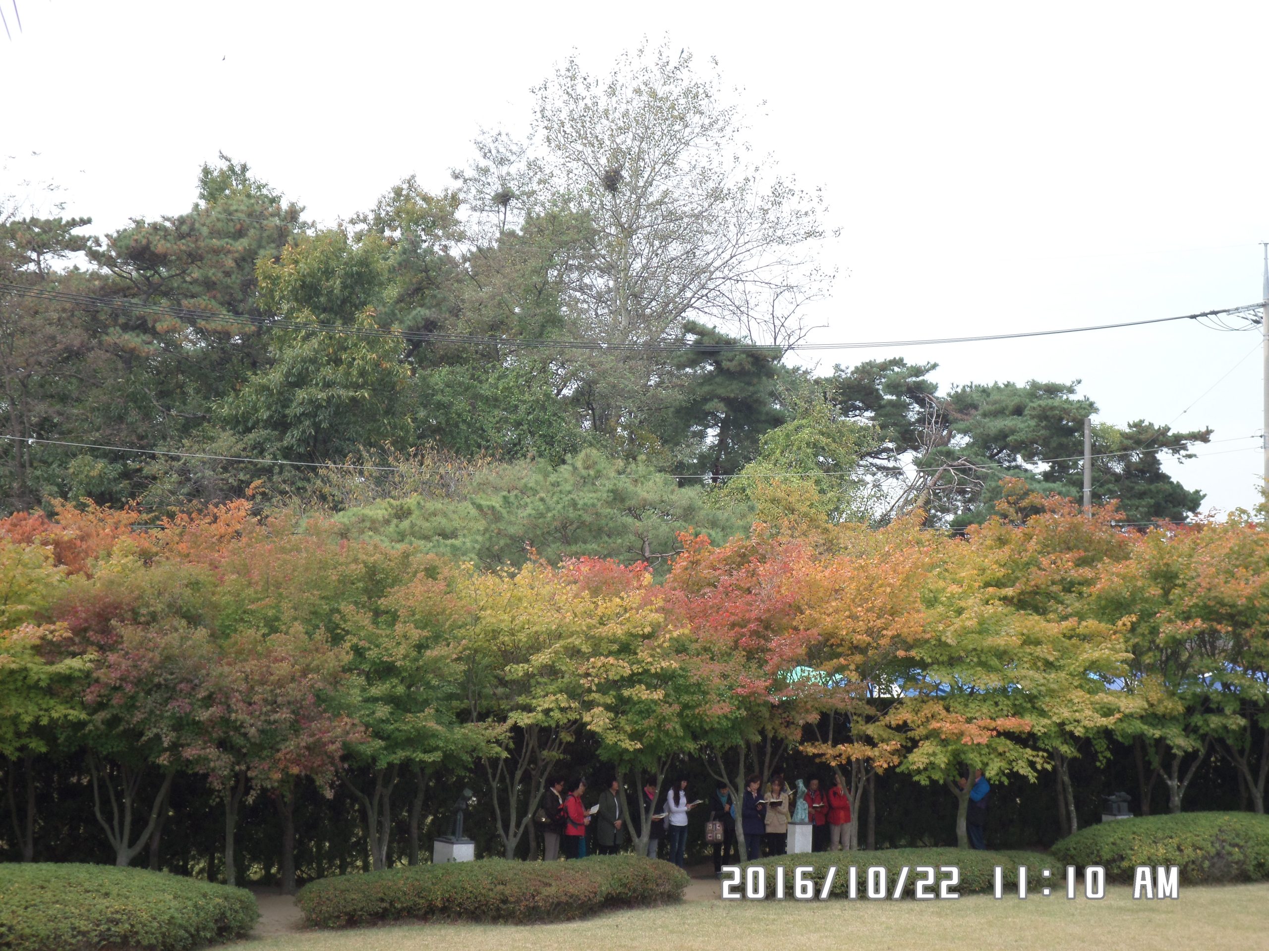 10월 22일 순례자들