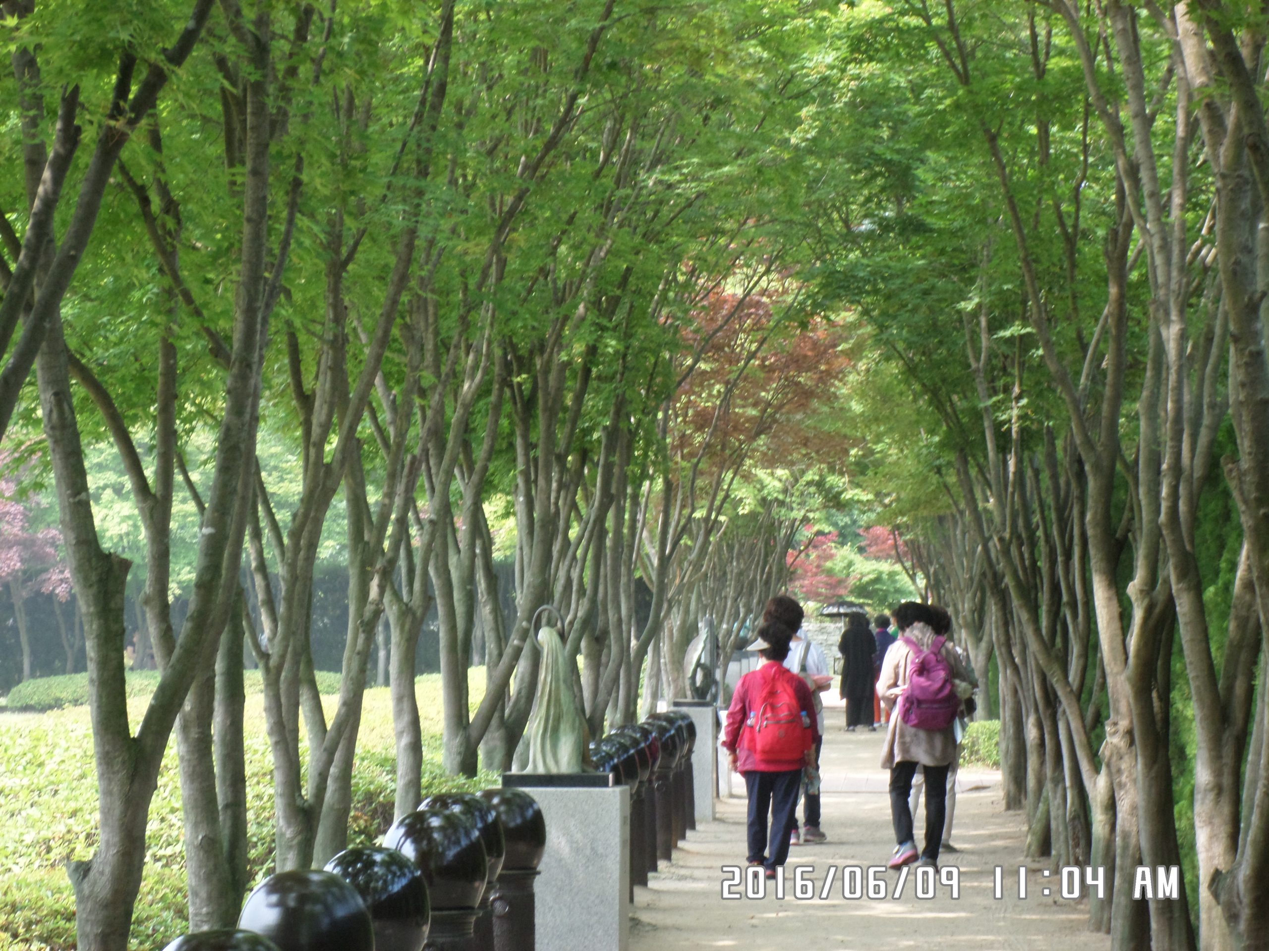 6월 9일 순례자들