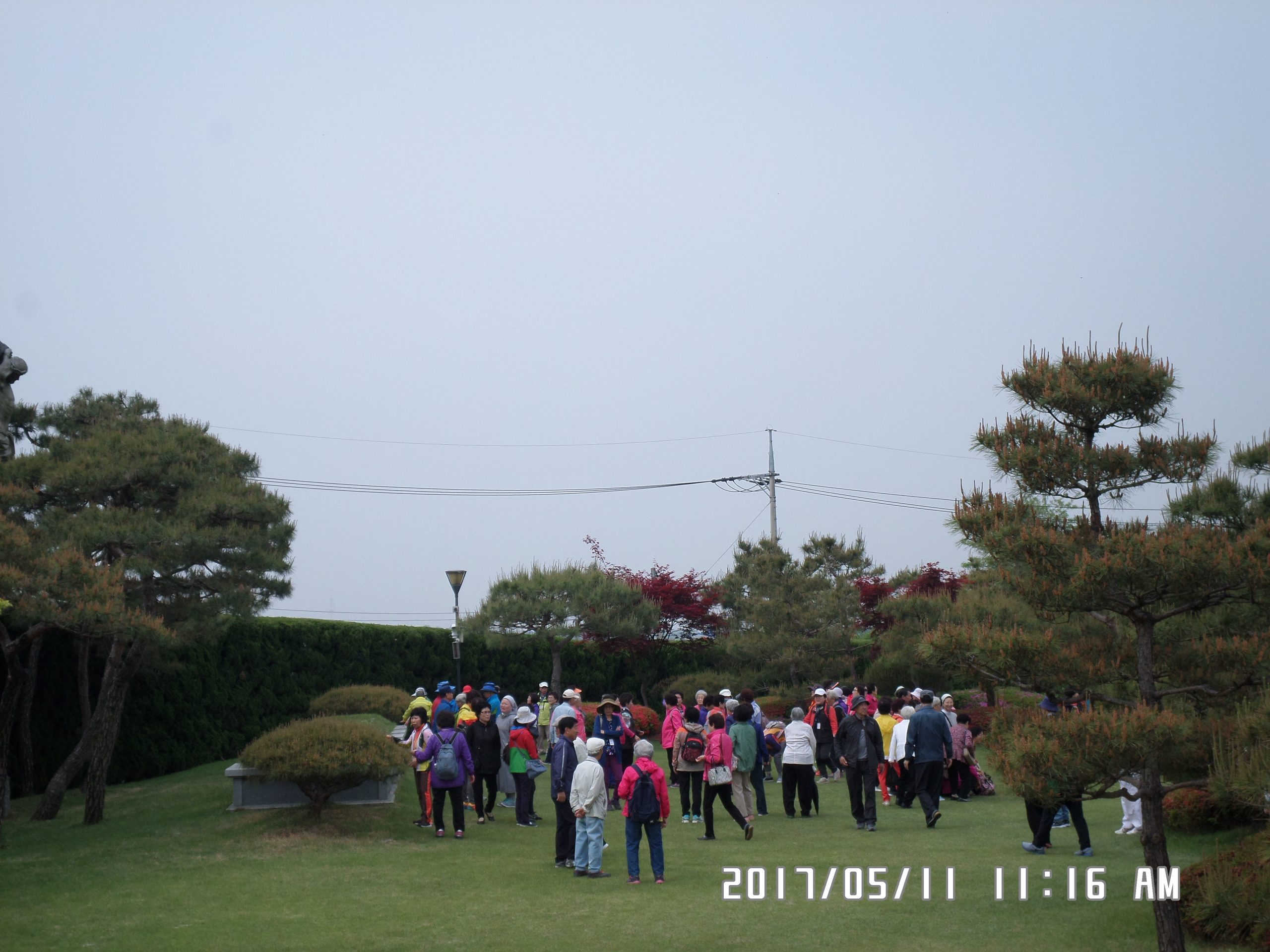 5월 11일 순례자들