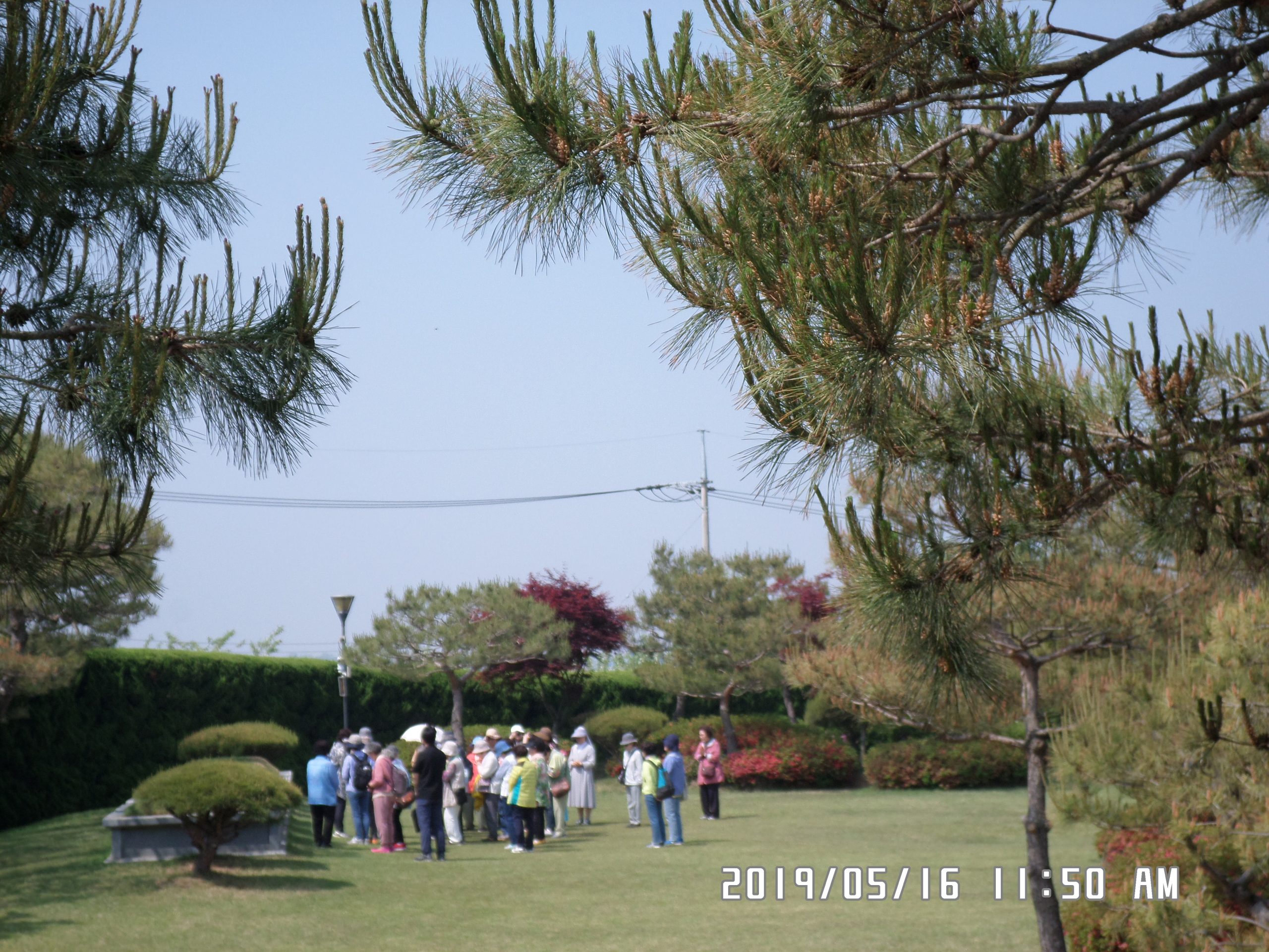 5월 16일 순례자들