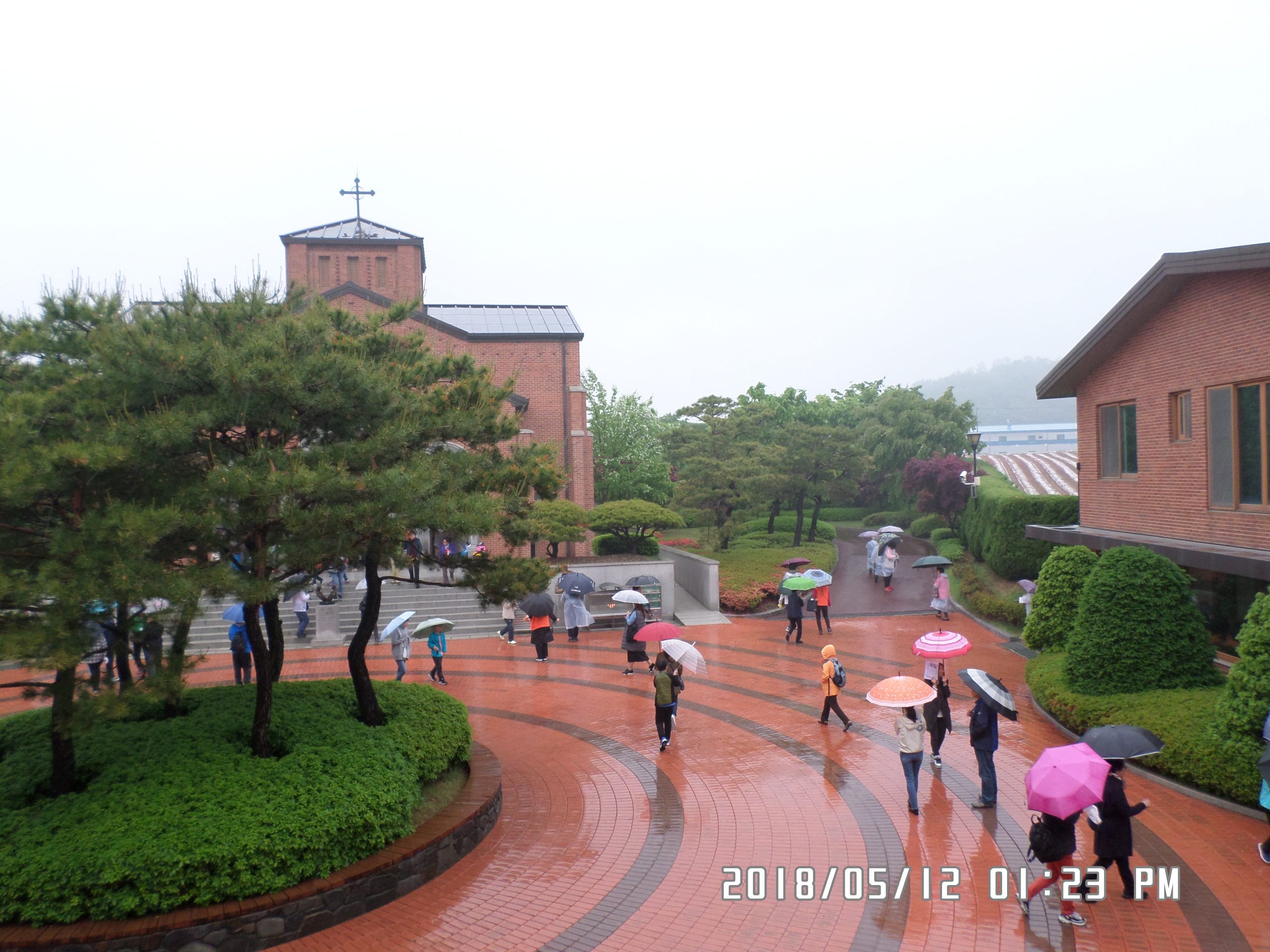 5월 12일 순례자들