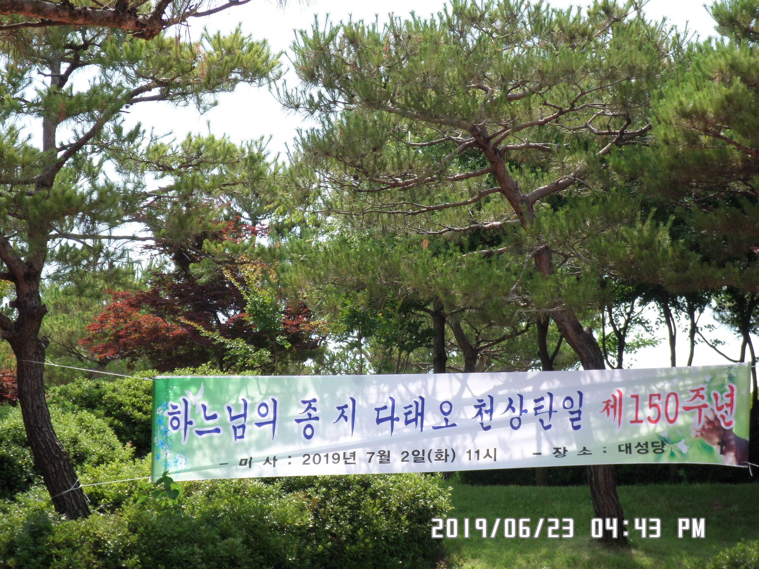 150주년 하느님의 종 지다태오