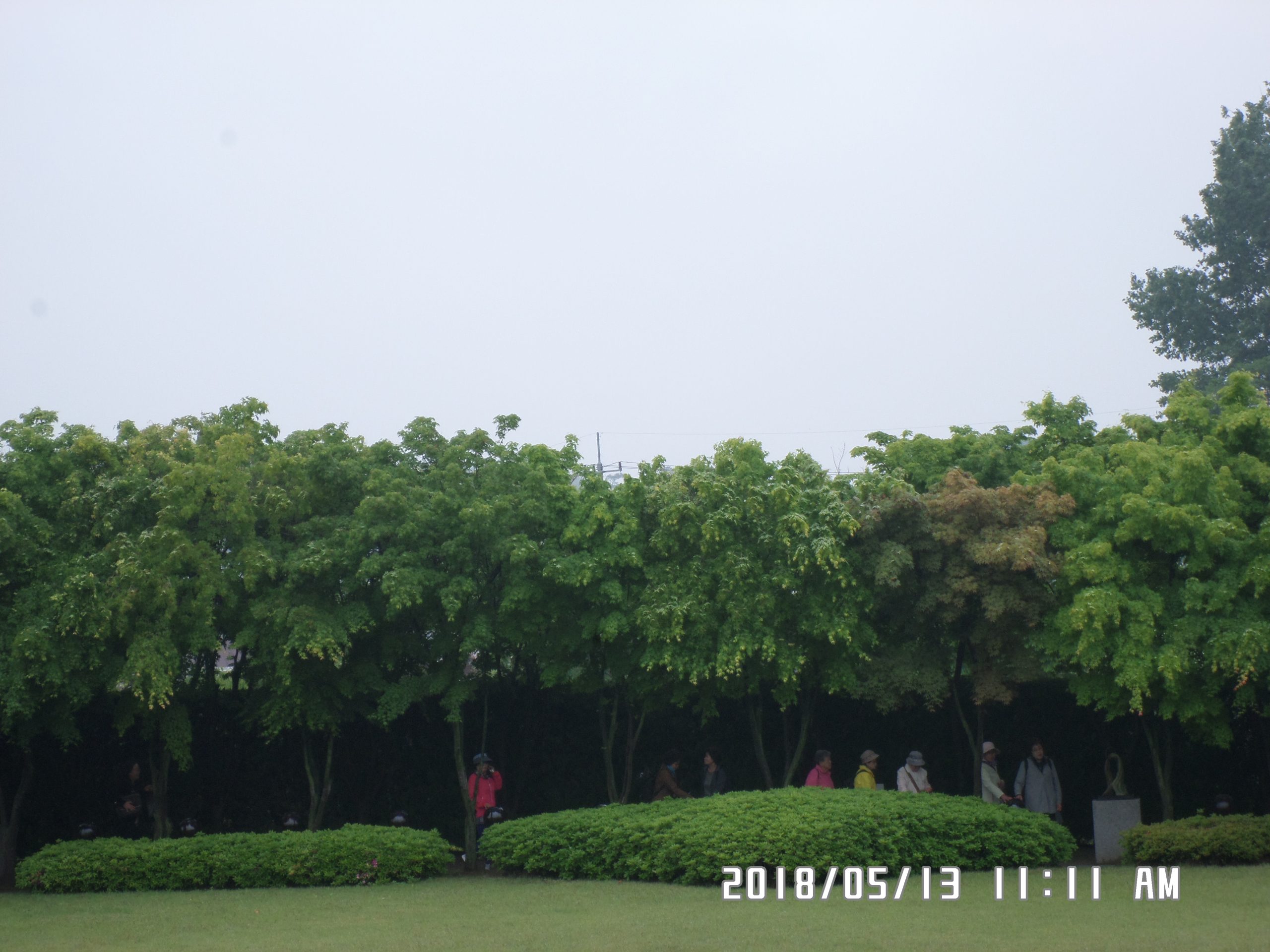 5월 13일 순례자들