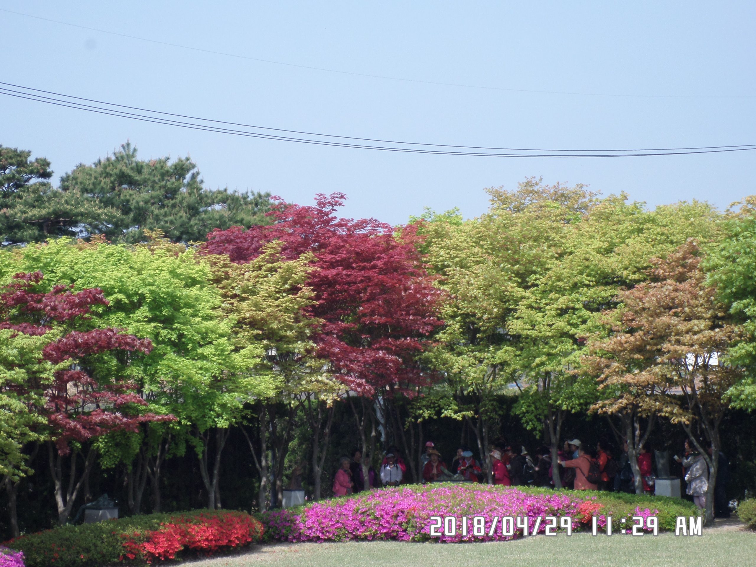 4월 29일 순례자들