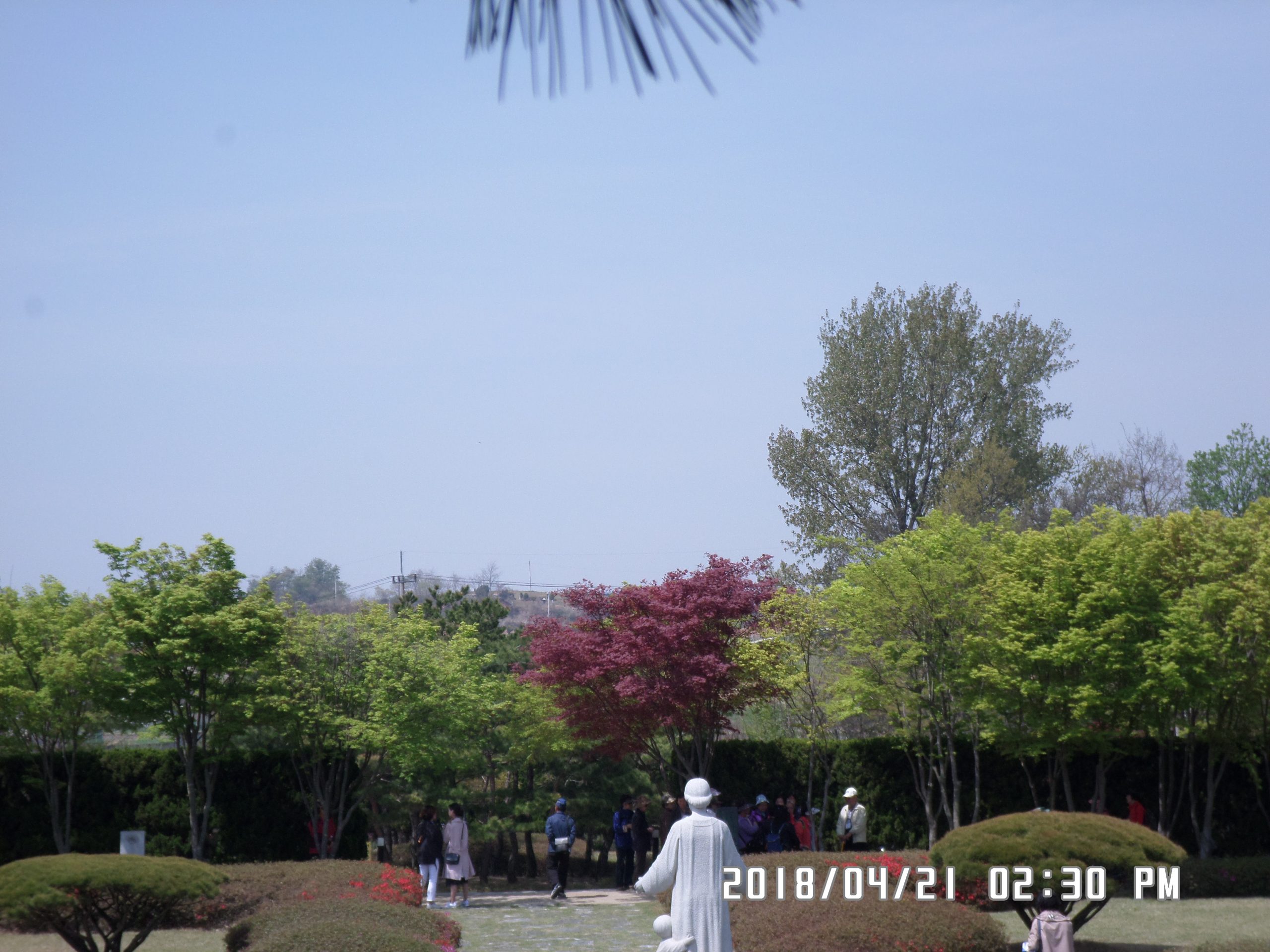 4월 21일 순례자들