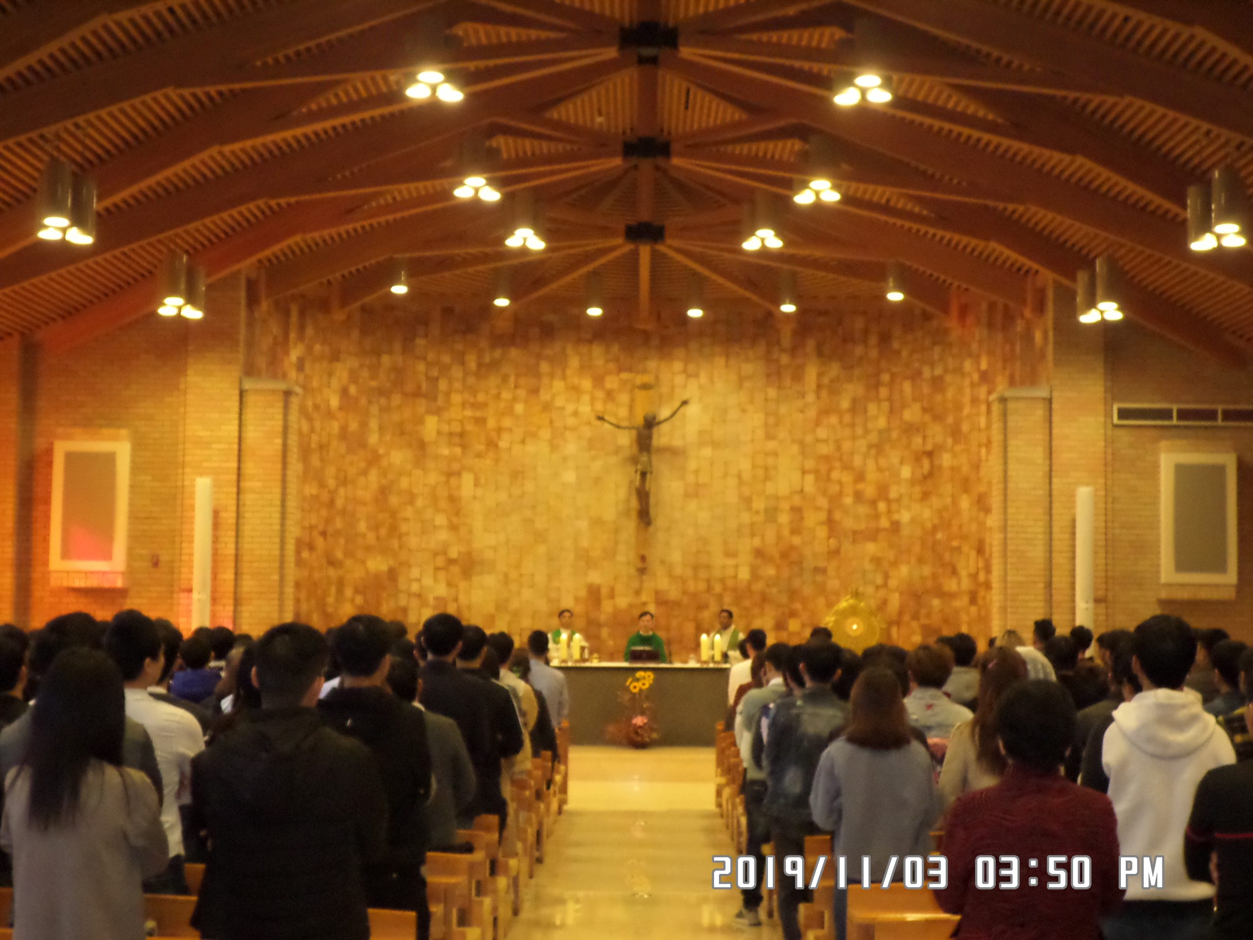 11월 3일 순례자들