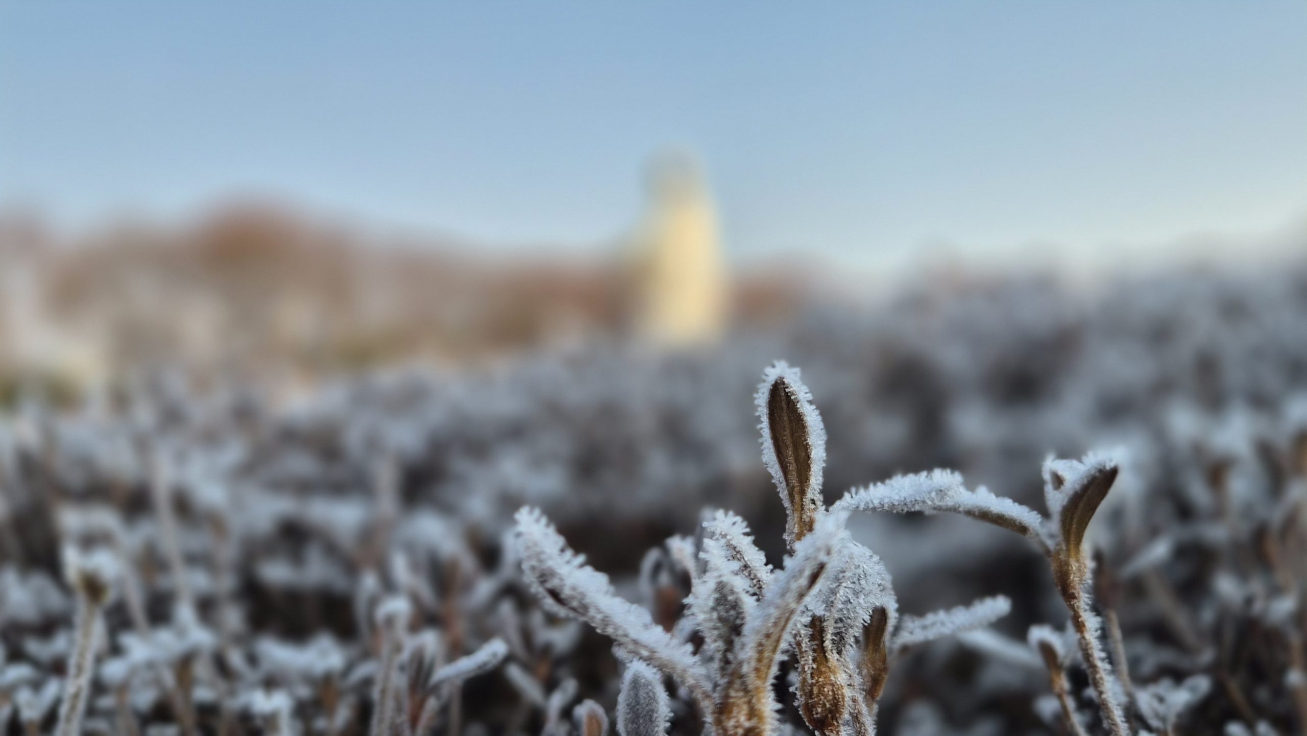 ♥ 사마리아인의 치유피정(1)