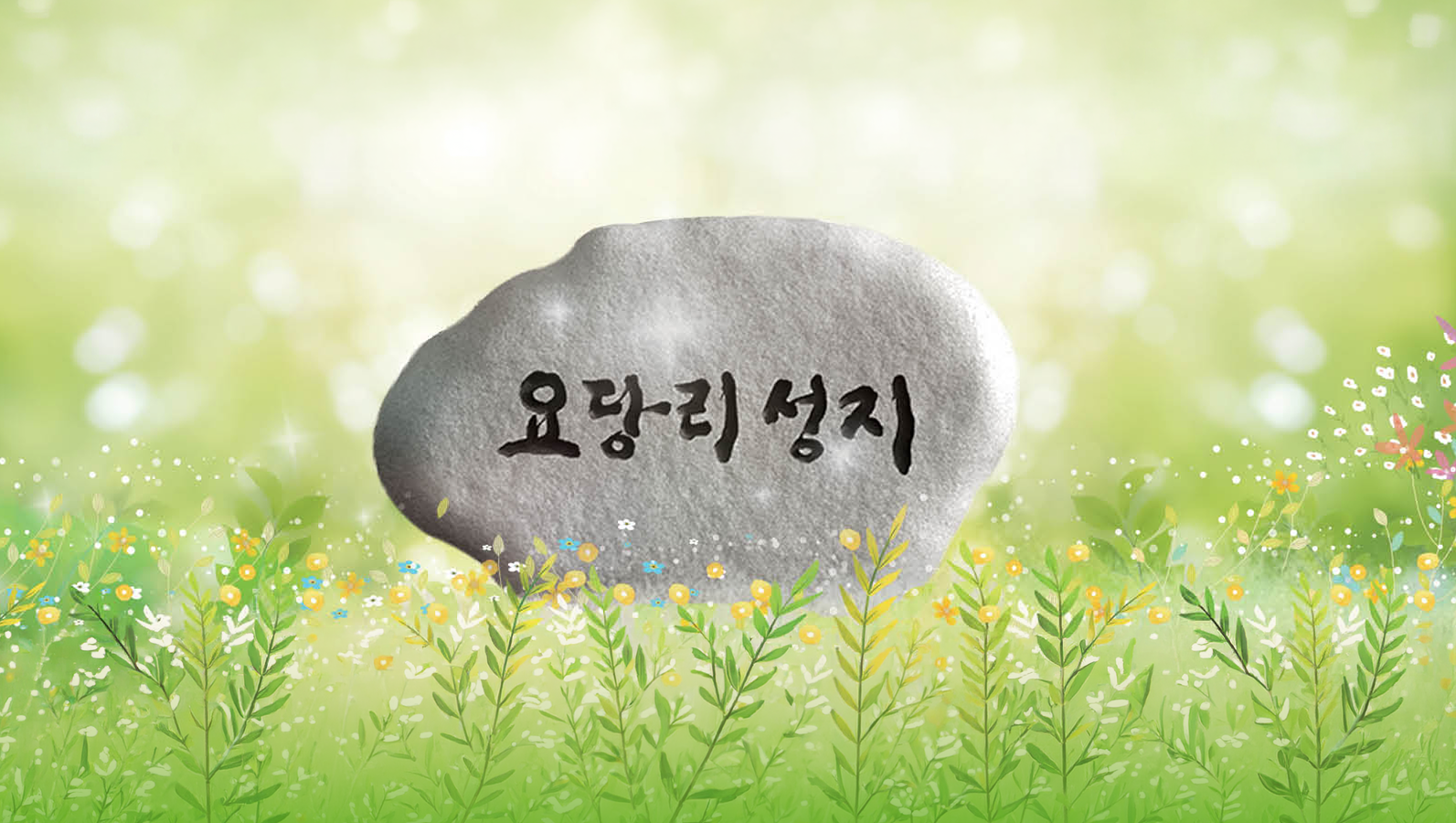 성지 회보