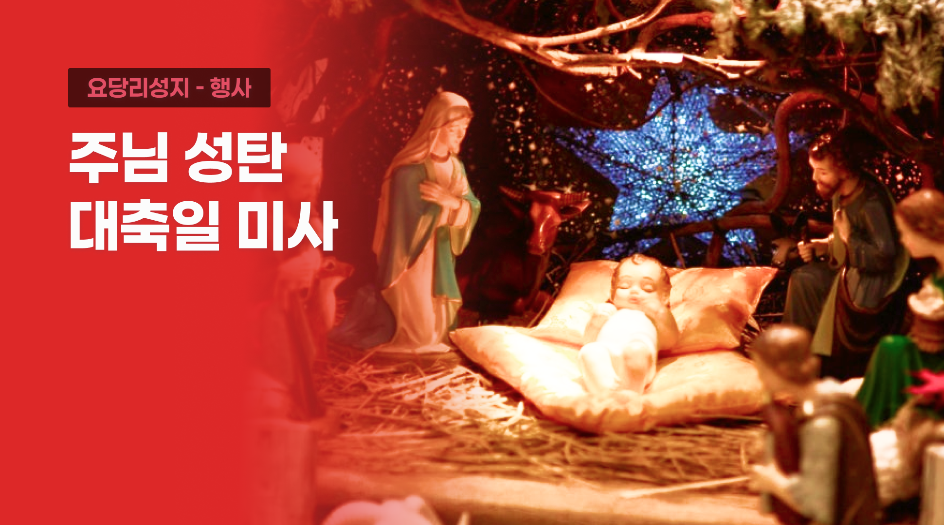 주님 성탄 대축일 미사