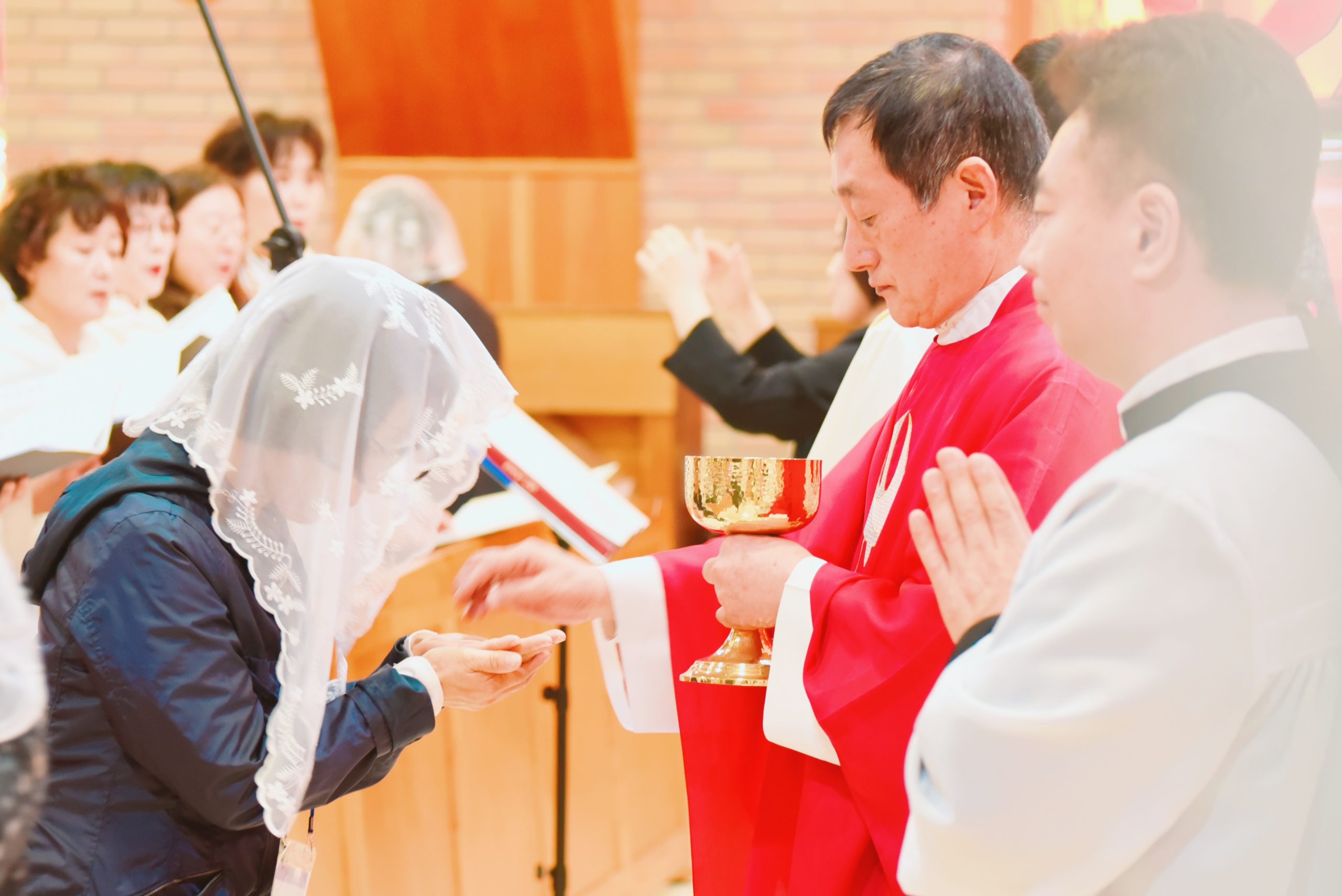 ♥순교자 현양대회 미사 ♥